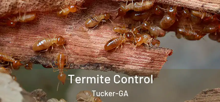 Termite Control Tucker-GA