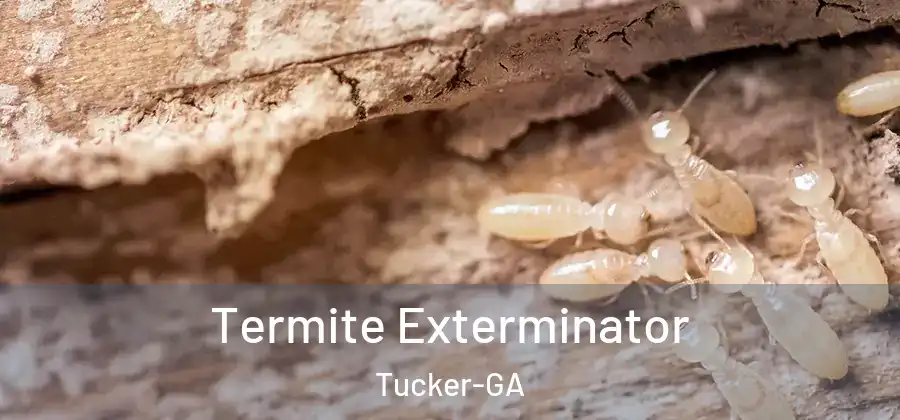  Termite Exterminator Tucker-GA