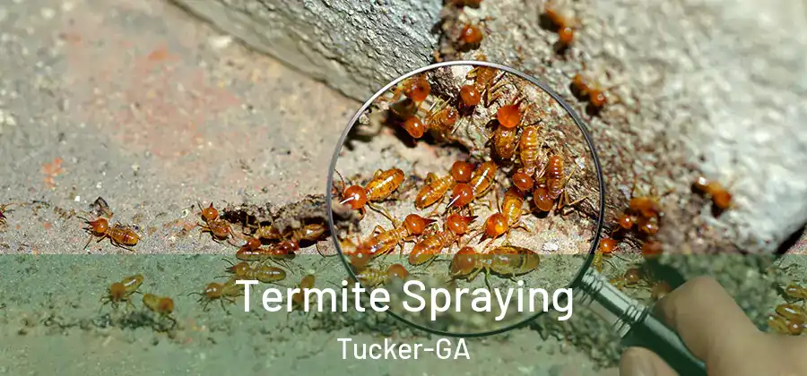  Termite Spraying Tucker-GA
