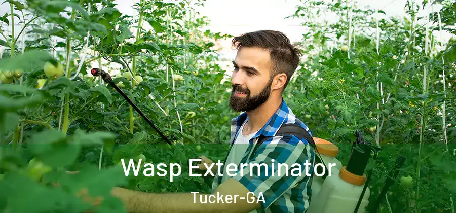  Wasp Exterminator Tucker-GA