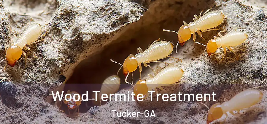  Wood Termite Treatment Tucker-GA
