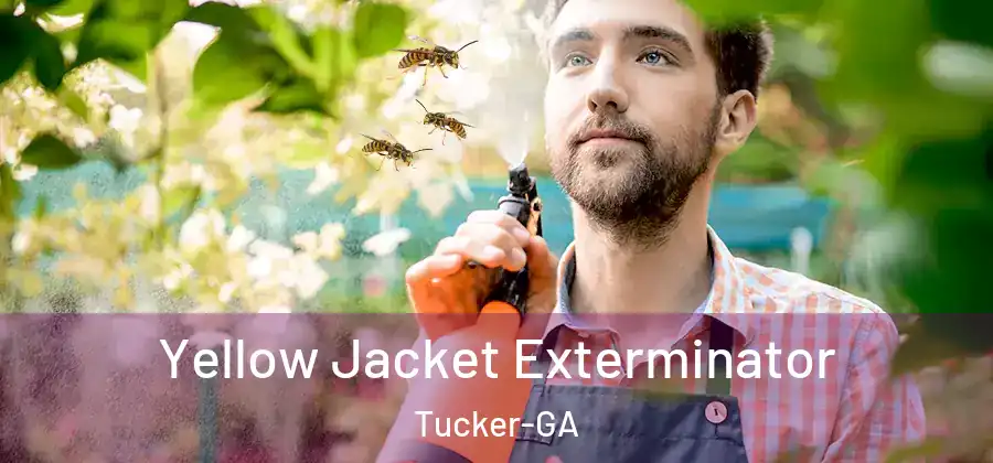 Yellow Jacket Exterminator Tucker-GA